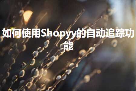 跨境电商知识:如何使用Shopyy的自动追踪功能